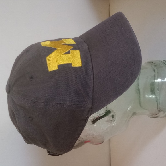 Michigan Wolverines Hat Cap Strap Back Adjustable Lithotype Logo Mens Sports - Picture 4 of 10